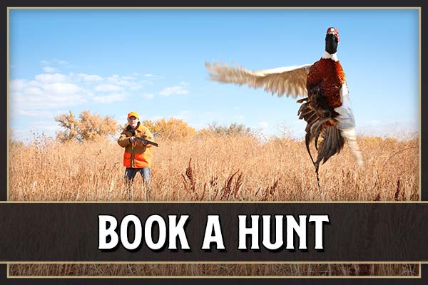 Dakota Prairie Holidays