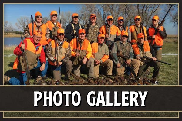 Dakota Prairie Holidays photo 3